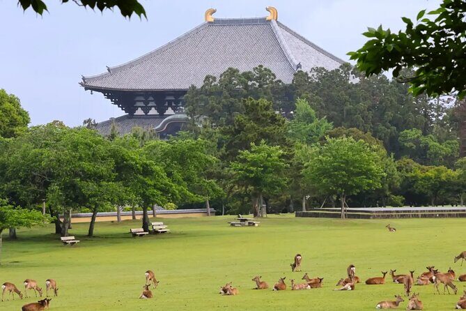 1 Day Walking Tour in Nara, Todaiji Temple, Deer and Inkstick - Exploring Nara’s Historic Heart