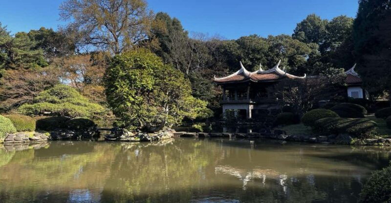 1-day-walking-tour-in-shinjuku-and-shibuya-the-best-of-both