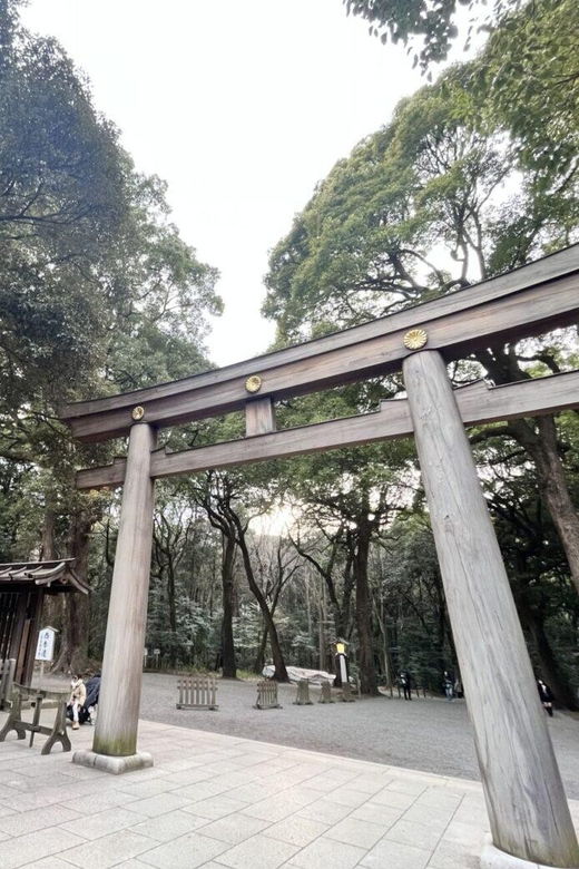 1-day-walking-tour-in-shinjuku-and-shibuya-the-best-of-both