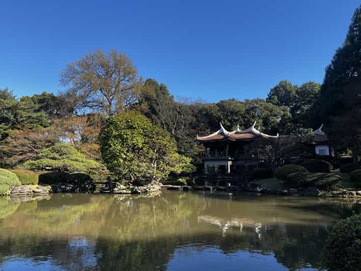 1-day-walking-tour-in-shinjuku-and-shibuya-the-best-of-both