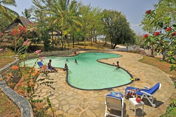 1 Day Wasini Dolphin Tour - Who Will Enjoy This Tour?