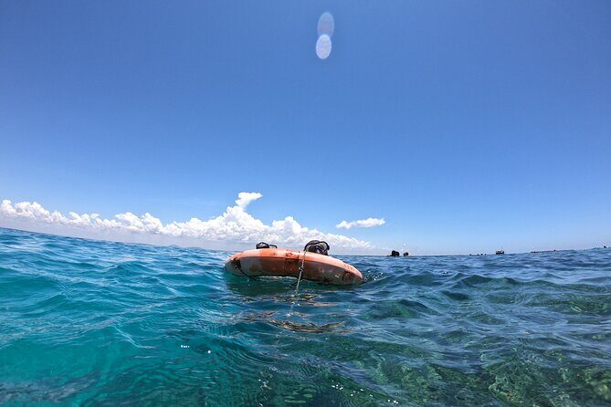 1 Day Wasini Dolphin Tour - The Sum Up: The Value of Authentic Coastal Kenya