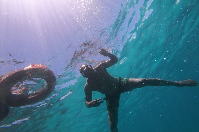 1 Day Wasini Dolphin Tour - FAQ