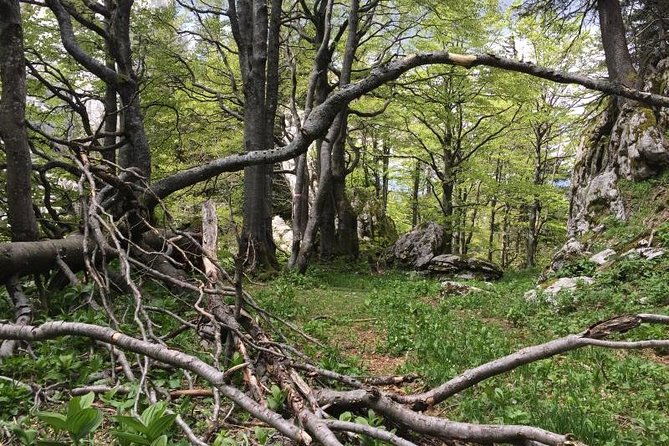1-day-white-rocks-wilderness-vihoraski-trail-hike-from-zagreb