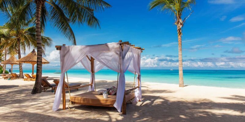 1 Day: Zanzibar trip to Spice and Forest - The Day Itself: A Step-by-Step Breakdown