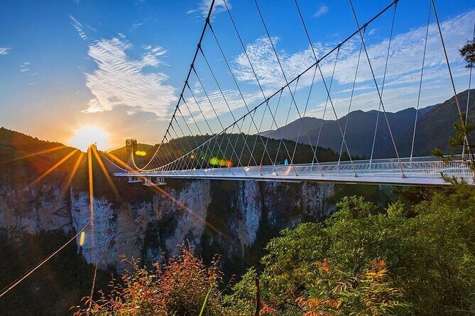 1 Day Zhangjiajie Grand Canyon Glass Bridge and Zip Line - An Overview of the Day: What You Can Expect