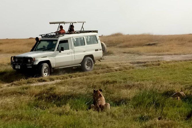 1 Daytrip Amazing to Ngorongoro Crater from Arusha or Moshi - Frequently Asked Questions