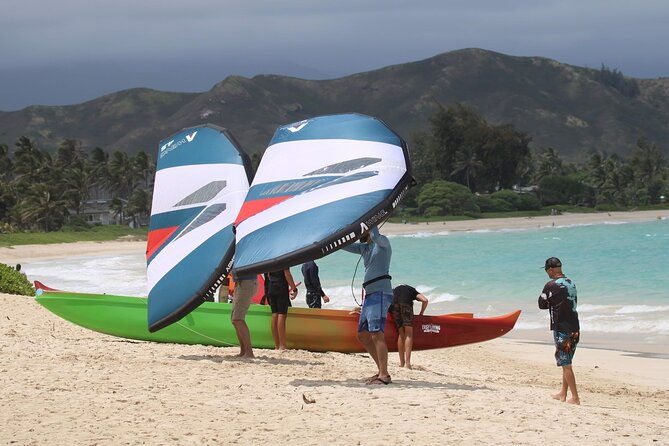 1-efoil-2-hr-group-2-hr-wing-foil-or-windsurf-or-kayak-lesson