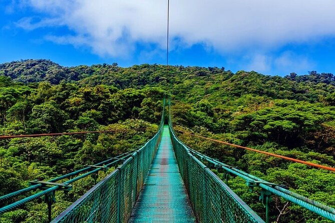 1-full-private-tour-to-arenal-volcano-baldi-hot-springs