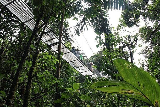 1-full-private-tour-to-arenal-volcano-baldi-hot-springs