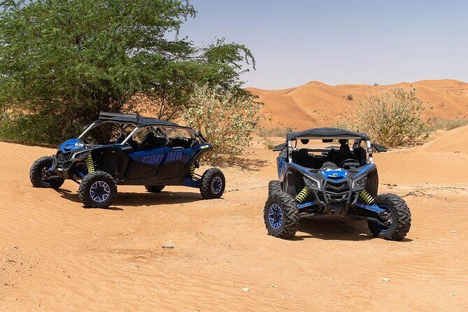 1 Hour 4-Seater Can-A X3 Turbo Buggy Family Tour in Dubai - Suitable for Who?