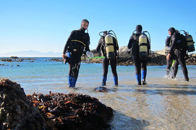 1-Hour Beach Diving Experience with Transfer from Sharm El Sheikh - Key Points