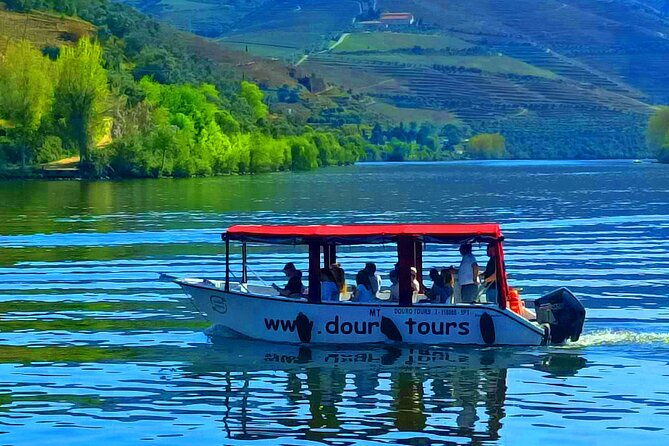 1-hour-boat-trip-along-the-douro-river-in-pinhao