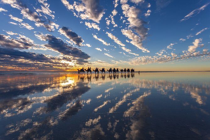 1 Hour Broome Sunset Camel Tour - What Makes the Broome Sunset Camel Tour Special?