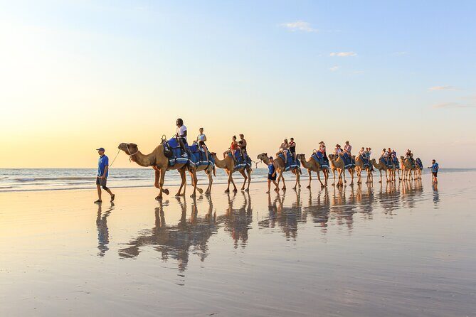 1 Hour Broome Sunset Camel Tour - Who Will Enjoy This Experience?