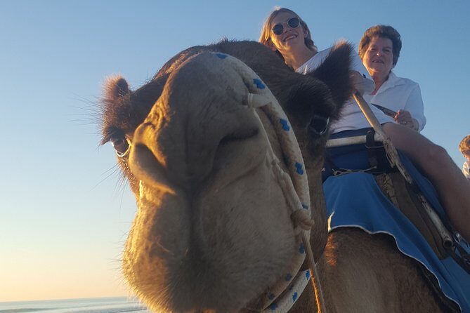1 Hour Broome Sunset Camel Tour - FAQs