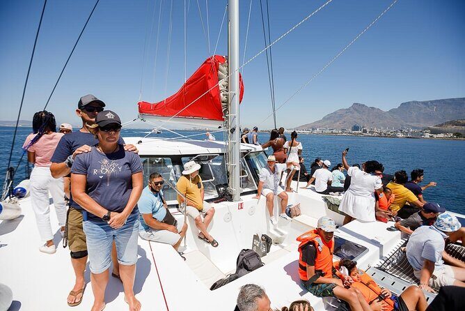 1- Hour Catamaran Cruise Cape Town - The Experience in Detail