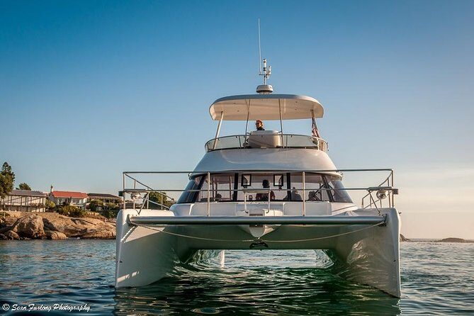 1 Hour Coastal Catamaran Cruise from Cape Town - What You Should Know Before Booking