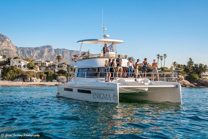 1 Hour Coastal Catamaran Cruise from Cape Town - Who Will Love This Cruise?