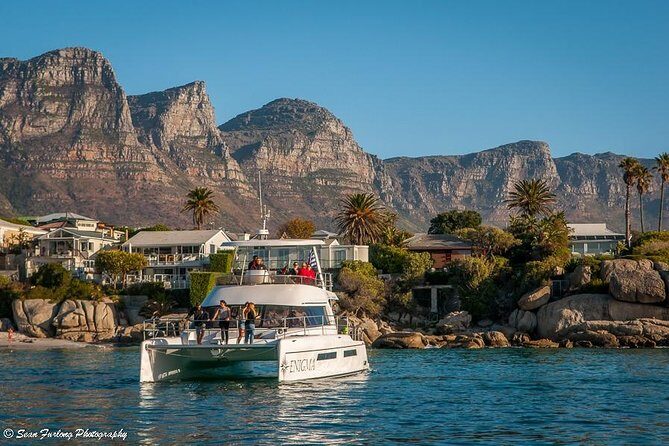 1 Hour Coastal Catamaran Cruise from Cape Town - Final Thoughts