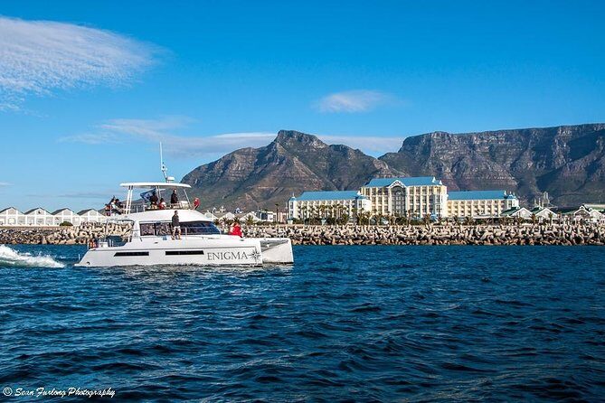 1 Hour Coastal Catamaran Cruise from Cape Town - FAQ