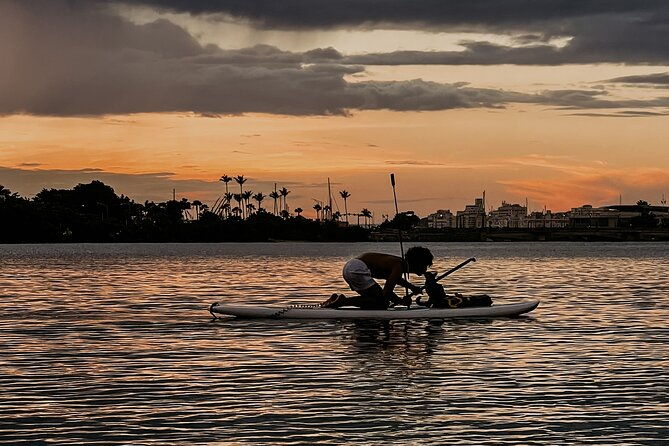 1-hour-condado-lagoon-paddleboard-rental-in-san-juan