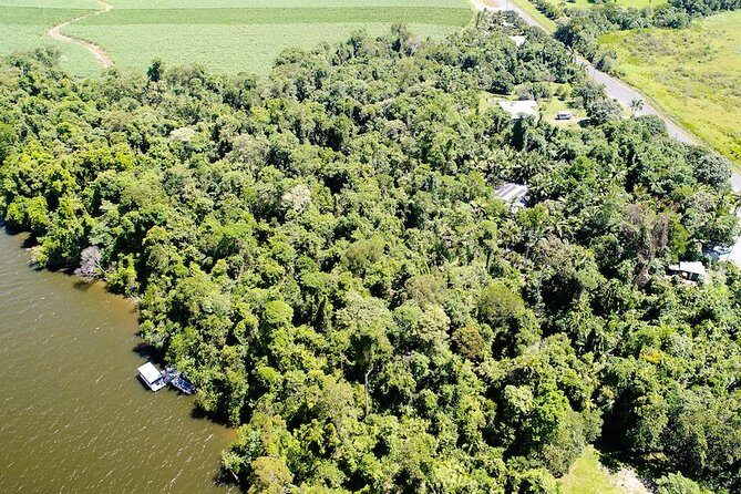 1-Hour Daintree River wildlife cruise - Authentic Encounters and Tips