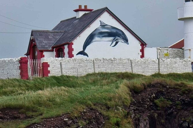 1-hour-dingle-bay-cliff-tour