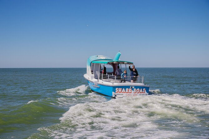 1-hour-dolphin-sightseeing-adventure-cruise-from-madeira-beach