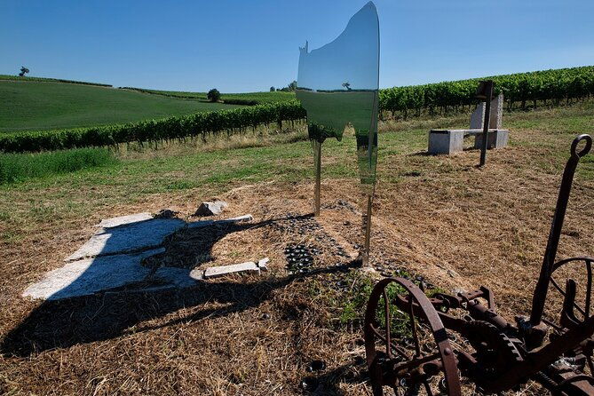 1-hour-experience-with-brunello-visit-to-the-vineyard-and-cellar