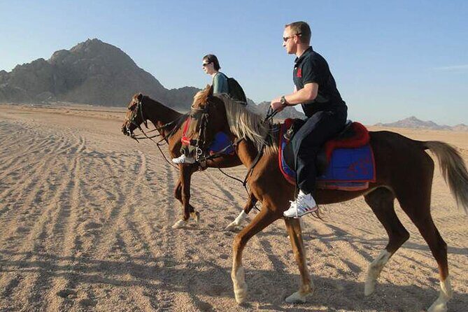 1 Hour Guided Horse Riding Activity in Sharm El Sheikh - The Experience’s Highlights and Why It Matters