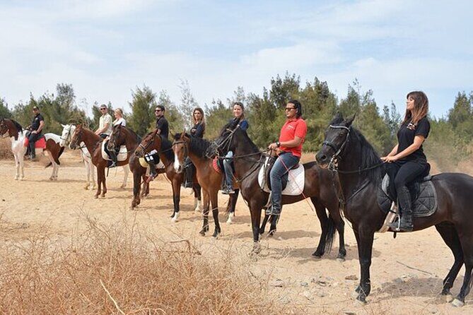 1 Hour Guided Horse Riding Activity in Sharm El Sheikh - The Sum Up: Who Should Consider This Tour?