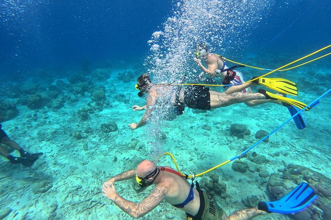 1-hour-guided-snuba-east-coast-diving-in-curacao