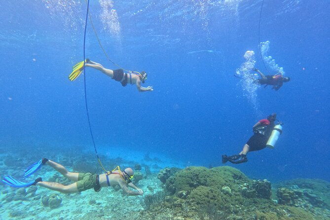 1-hour-guided-snuba-east-coast-diving-in-curacao