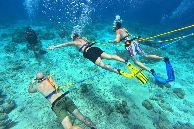 1-hour-guided-snuba-east-coast-diving-in-curacao