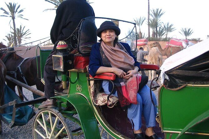 1-Hour Horse Carriage Drawn Marrakech City Tour - Key Points