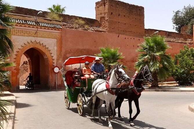 1-Hour Horse Carriage Drawn Marrakech City Tour - Who Should Consider This Tour?