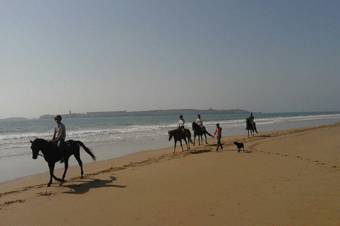 1 hour horse ride on the beach of essaouira - The Logistics: Practical Details for Your Ride