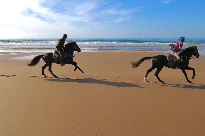 1 hour horse ride on the beach of essaouira - Why This Tour Is Worth Considering