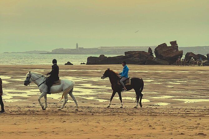 1 hour horse ride on the beach of essaouira - Final Thoughts