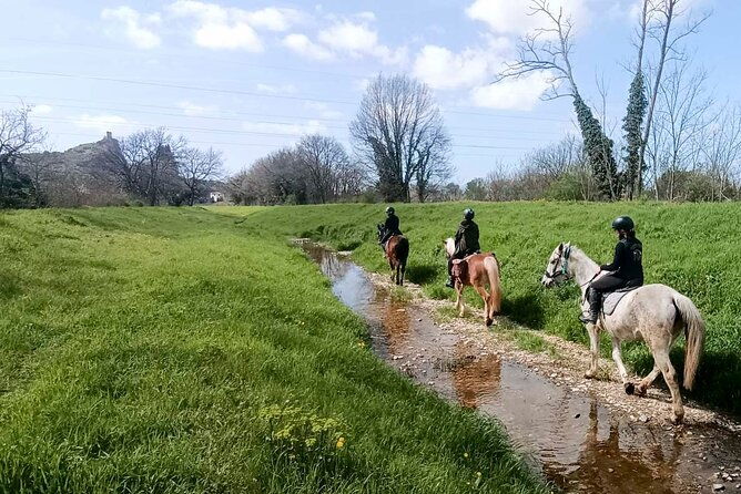 1-hour-horseback-ride-in-valgraziosa-pisa-2