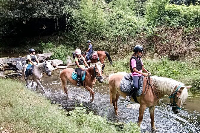 1-hour-horseback-ride-in-valgraziosa-pisa-2