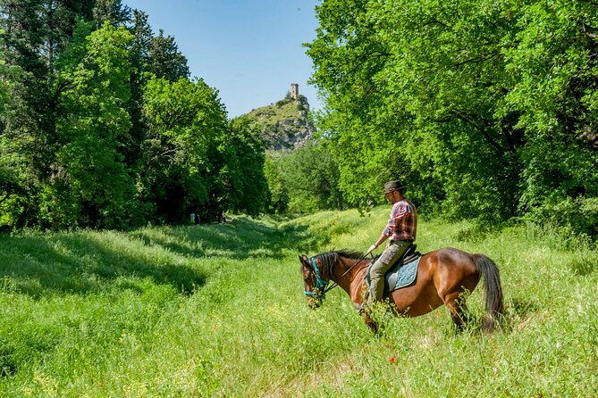 1-hour-horseback-ride-in-valgraziosa-pisa-2