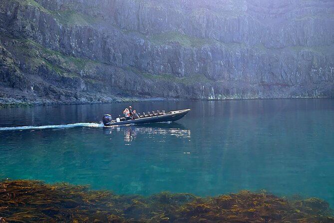 1-hour-iceland-nature-and-wildlife-rib-small-group-guided-safari