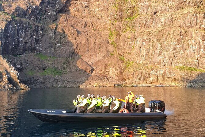 1-hour-iceland-nature-and-wildlife-rib-small-group-guided-safari