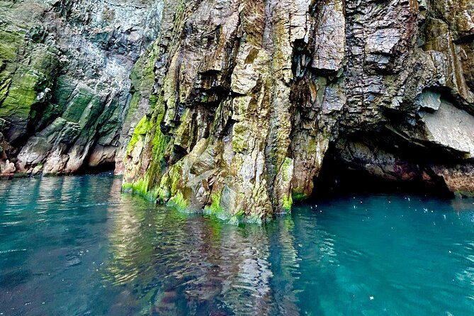 1-hour-iceland-nature-and-wildlife-rib-small-group-guided-safari