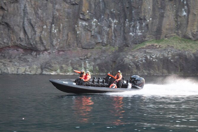 1-hour-iceland-nature-and-wildlife-rib-small-group-guided-safari