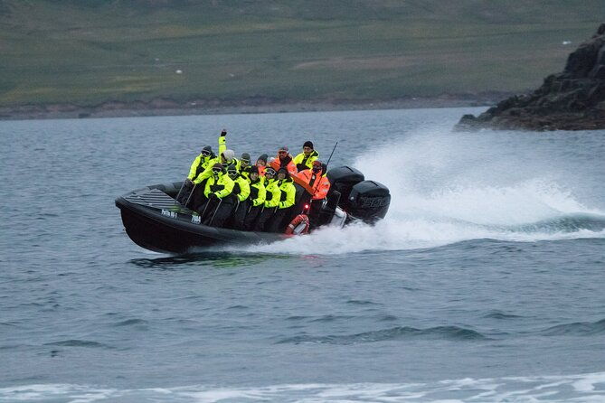 1-hour-iceland-nature-and-wildlife-rib-small-group-guided-safari