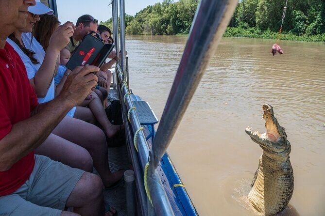 1 Hour Jumping Crocodile Cruise on the Adelaide River - Exploring the Adelaide River Croc Cruise