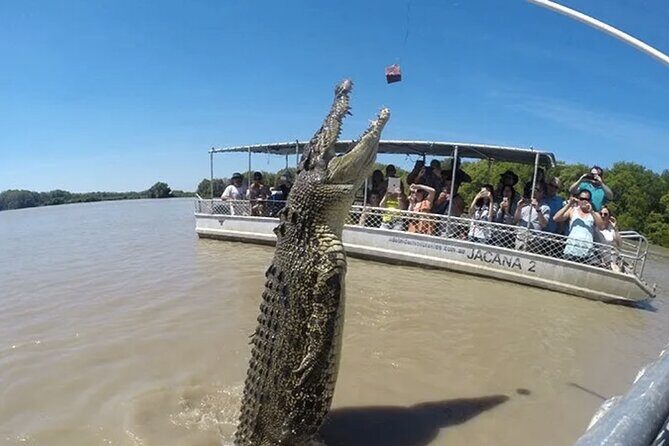 1 Hour Jumping Crocodile Cruise on the Adelaide River - Final Words
